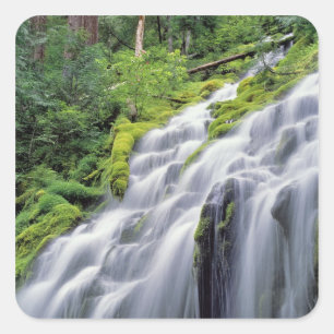 USA, Oregon, Proxy Falls. Proxy Falls rauscht Quadratischer Aufkleber
