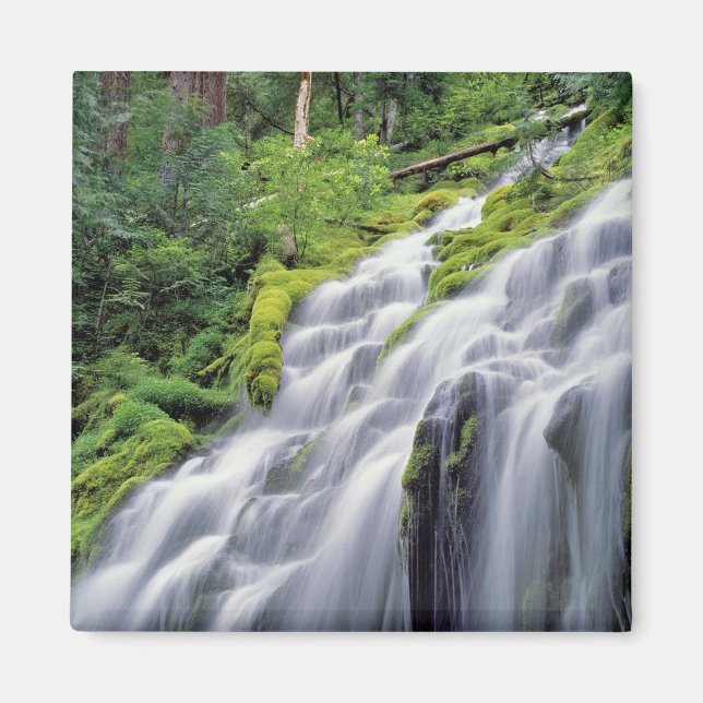 USA, Oregon, Proxy Falls. Proxy Falls stürzt Magnet (Vorne)
