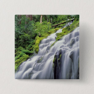 USA, Oregon, Proxy Falls. Proxy-Fallschirme Button
