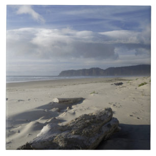 USA, Oregon, Sanddünen und Ozean, Pacific City Fliese