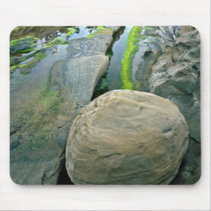 USA, Oregon, Shore Acres State Park Mousepad