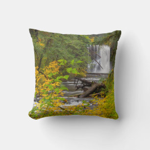 USA, Oregon, Silver Falls Staat Park 2 Kissen
