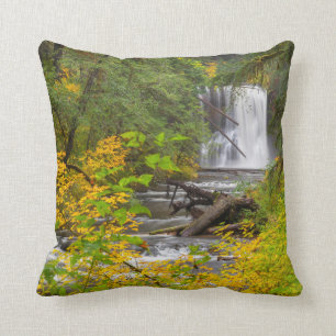 USA, Oregon, Silver Falls Staat Park 2 Kissen