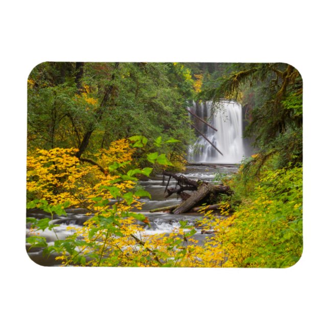 USA, Oregon, Silver Falls Staat Park 2 Magnet (Horizontal)