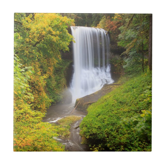 USA, Oregon, Silver Falls Staat Park 3 Fliese (Vorderseite)