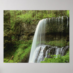 USA, Oregon, Silver Falls Staat Park. unten Poster
