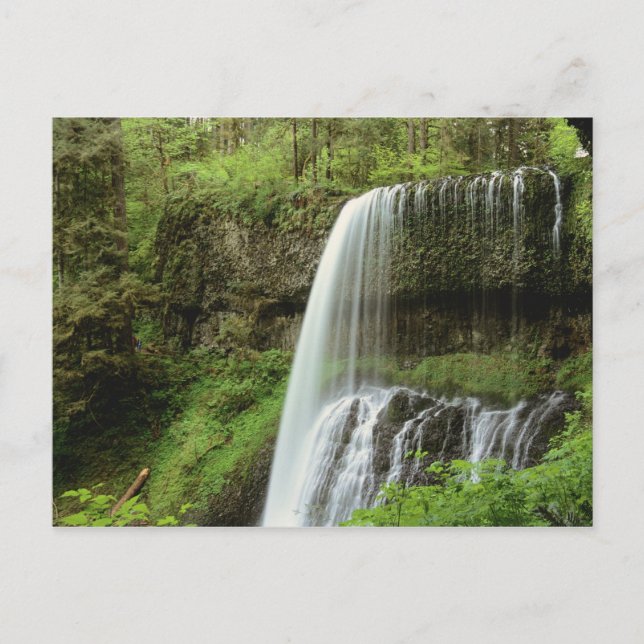 USA, Oregon, Silver Falls Staat Park. Untergrund Postkarte (Vorderseite)