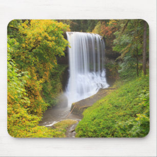 USA, Oregon, Silver Falls State Park 3 Mousepad