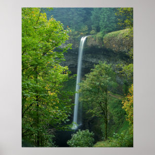 USA, Oregon, Silver Falls State Park Poster