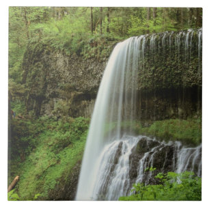 USA, Oregon, Silver Falls State Park. Untere Fliese