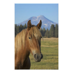 USA, Oregon, Sisters, Blick auf Three Sisters, Fotodruck