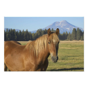 USA, Oregon, Sisters, Blick auf Three Sisters, Fotodruck
