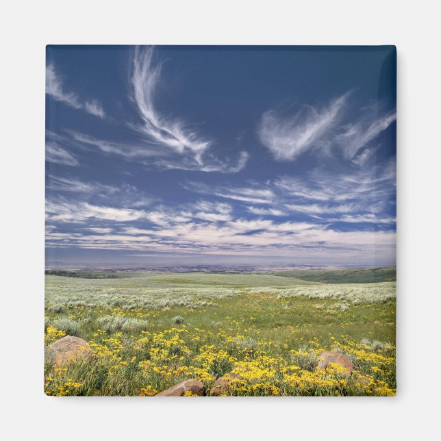 USA, Oregon, Steens Mountain. Frühjahrsexplosionen Magnet (Vorne)