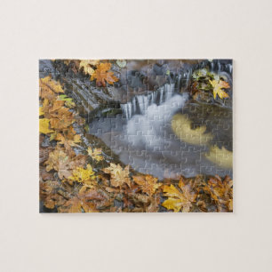 USA, Oregon, Sweet Creek. Blätter von gefallenen A