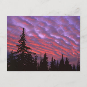 USA, Oregon, Three Sisters Wilderness, Lebendig Postkarte