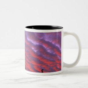 USA, Oregon, Three Sisters Wilderness, Lebendig Zweifarbige Tasse
