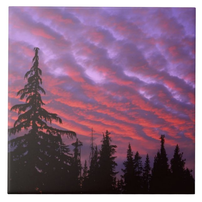 USA, Oregon, Three Sisters Wilderness, Vivid Fliese (Vorderseite)