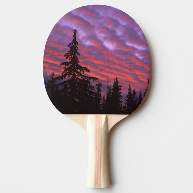 USA, Oregon, Three Sisters Wilderness, Vivid Tischtennis Schläger (Vorderseite)