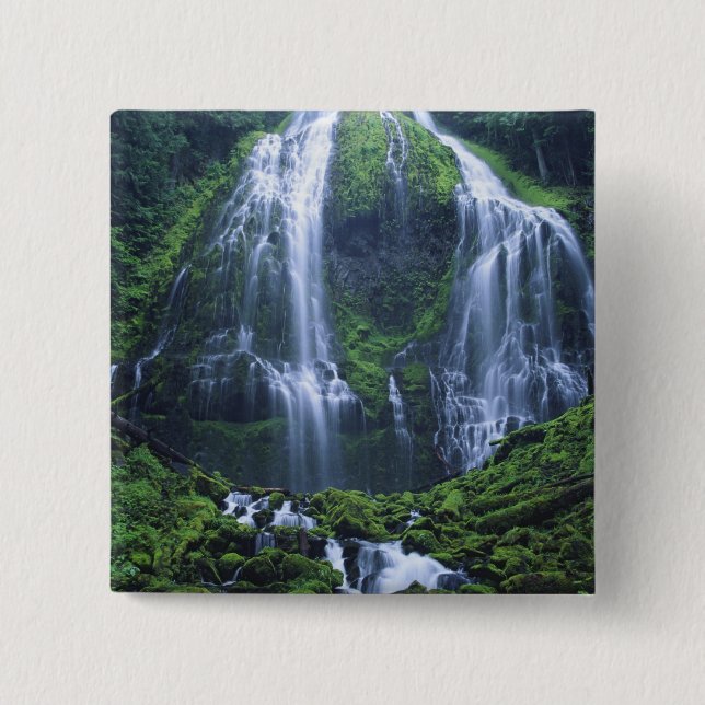 USA, Oregon, Willamette National Forest. Ansicht Button (Vorderseite)