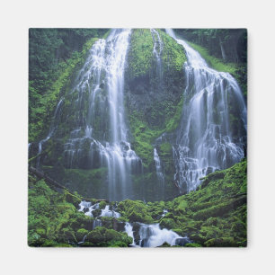 USA, Oregon, Willamette National Forest. Ansicht v Magnet