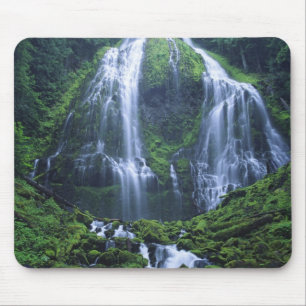 USA, Oregon, Willamette National Forest. Ansicht v Mousepad