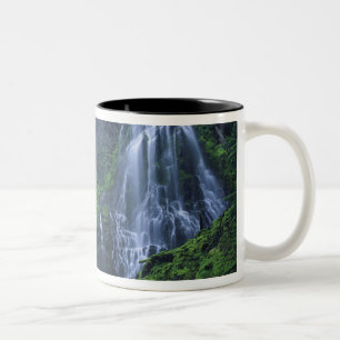 USA, Oregon, Willamette National Forest. Ansicht v Zweifarbige Tasse