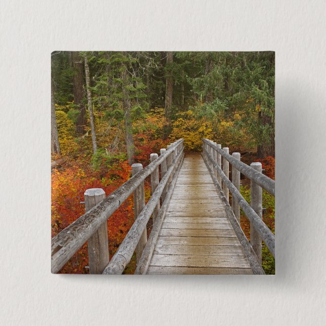 USA, Oregon, Willamette National Forest. Button (Vorderseite)