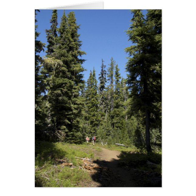 USA, Oregon, Willamette National Forest, Fall (Vorne)