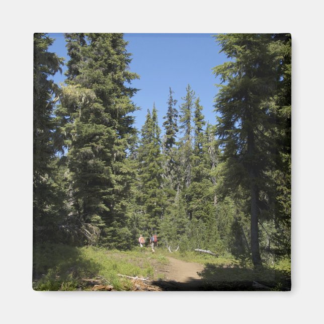 USA, Oregon, Willamette National Forest, Fall Magnet (Vorne)