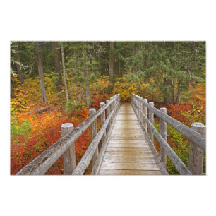 USA, Oregon, Willamette National Forest. Fotodruck