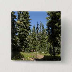 USA, Oregon, Willamette National Forest, Herbst Button