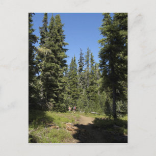 USA, Oregon, Willamette National Forest, Herbst Postkarte