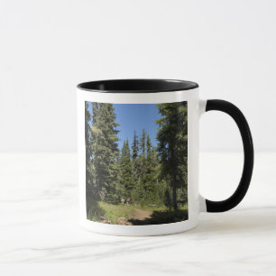 USA, Oregon, Willamette National Forest, Herbst Tasse