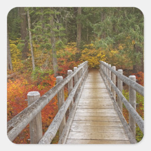 USA, Oregon, Willamette National Forest. Quadratischer Aufkleber