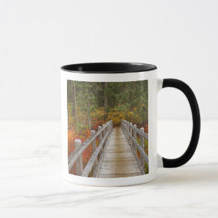 USA, Oregon, Willamette National Forest. Tasse