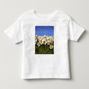 USA, Oregon, Willamette Valley. Daffodien wachsen Kleinkind T-shirt