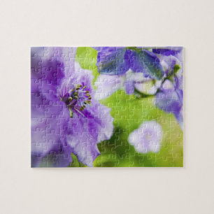 USA, Oregon, Willamette Valley, Larkspur Close 2