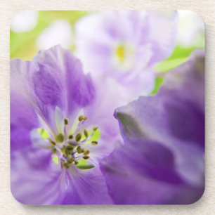 USA, Oregon, Willamette Valley, Larkspur Close Untersetzer