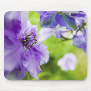 USA, Oregon, Willamette Valley, Larkspur Nah 2 Mousepad