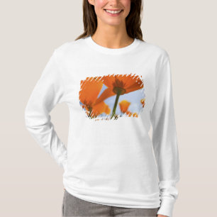 USA, Oregon, Willamette Valley, Nahaufnahme von 2 T-Shirt