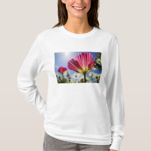 USA, Oregon, Willamette Valley, Nahaufnahme von T-Shirt