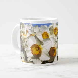 USA, Oregon, Willamette Valley. Narzissen wachsen Jumbo-Tasse