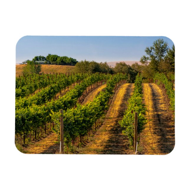 USA, Ost-Washington, Walla Walla Magnet (Horizontal)
