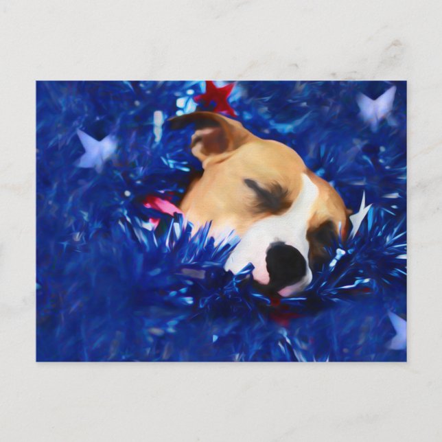 USA Patriotic Dog American Pit Bull Terrier Postkarte (Vorderseite)