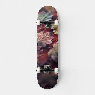 USA, Pazifiknordwesten. Japanische Ahornblätter Skateboard