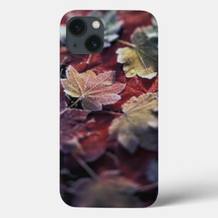 USA, Pazifischer Nordwesten. Japanische Ahornblätt Case-Mate iPhone Hülle