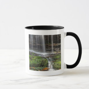 USA, Pennsylvania, Benton. Delikater Wasserfall Tasse
