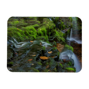 USA, Pennsylvania, Benton, Ricketts Glen State Magnet