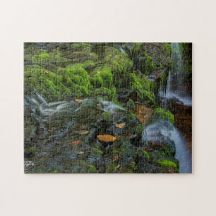 USA, Pennsylvania, Benton, Ricketts Glen State Par