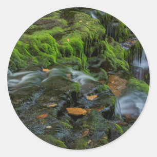 USA, Pennsylvania, Benton, Ricketts Glen State Par Runder Aufkleber
